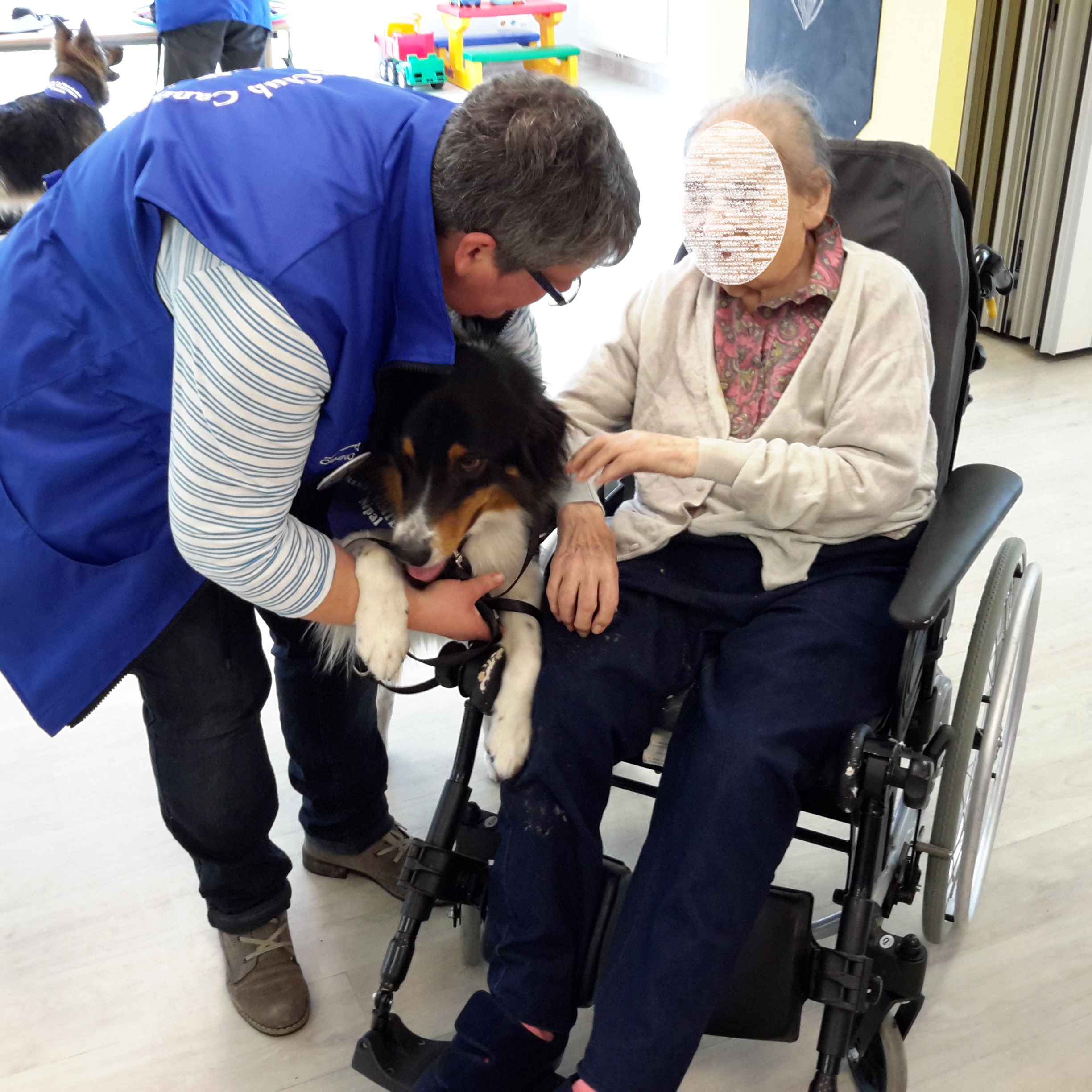 Chiens Visiteurs